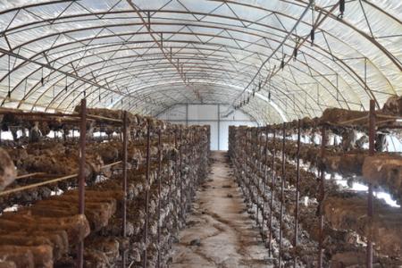 木材粉碎機(jī)->鋸末->菌類種植用土