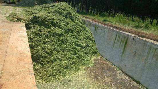 秸稈粉碎機(jī)->鋸末->做秸稈飼料