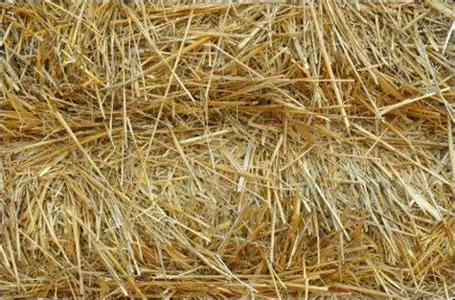 秸稈玉米水稻棉花稈粉碎應(yīng)用