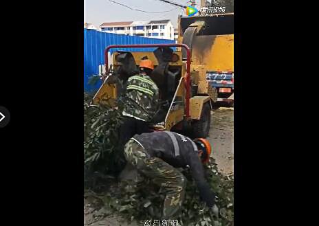 園林果樹枝粉碎機視頻客戶作業(yè)現(xiàn)場展示
