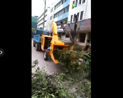 園林樹(shù)枝粉碎機(jī)視頻作業(yè)展示