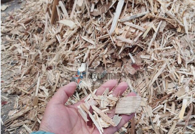 建筑模版破碎機(jī)|綜合木材破碎機(jī)現(xiàn)場(chǎng)視頻