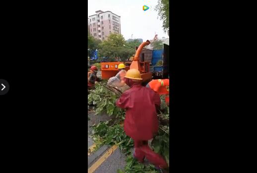 園林機(jī)械|園林樹(shù)枝粉碎機(jī)|園林樹(shù)枝粉碎機(jī)視頻展