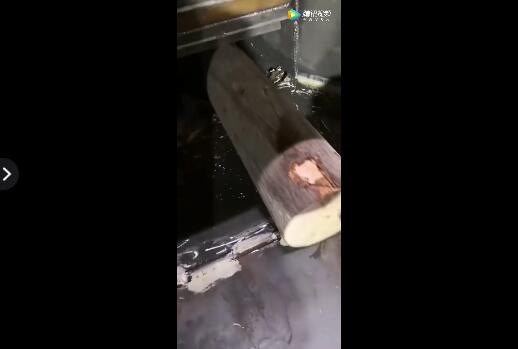 柴油版樹(shù)枝粉碎機(jī)粉碎樹(shù)干圓木現(xiàn)場(chǎng)視頻